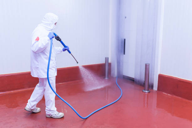 Why Choose Our Pressure Washing Services in New York